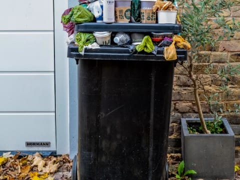 Junk Removal